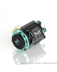 CAYOTE Crest Stocki 17.5T Brushless Motor (CA-CYEB11012)